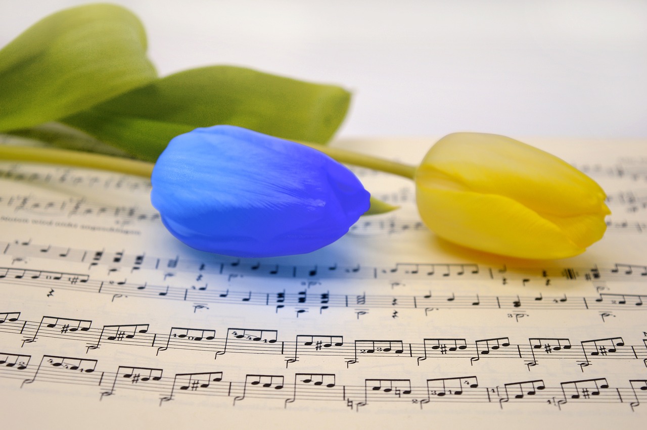 sheet music, music, tulips-7092610.jpg